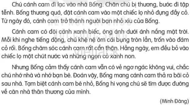 Tạm biệt cánh cam trang 64 - 65 Doc Tam Biet Canh Cam Trang 64 65 38729