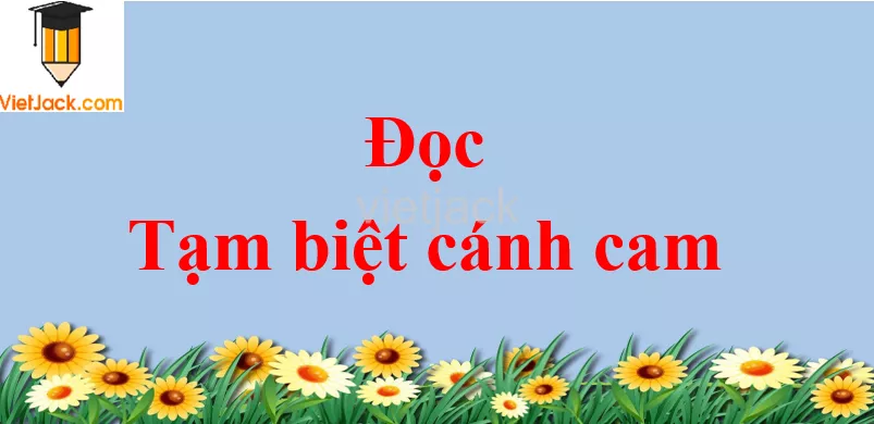 Tạm biệt cánh cam trang 64 - 65 Tiếng Việt lớp 2 Tập 2 Doc Tam Biet Canh Cam Trang 64 65