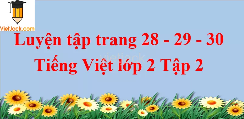 Luyện tập trang 28 - 29 - 30 Tiếng Việt lớp 2 Tập 2 Luyen Tap Trang 28 29 30