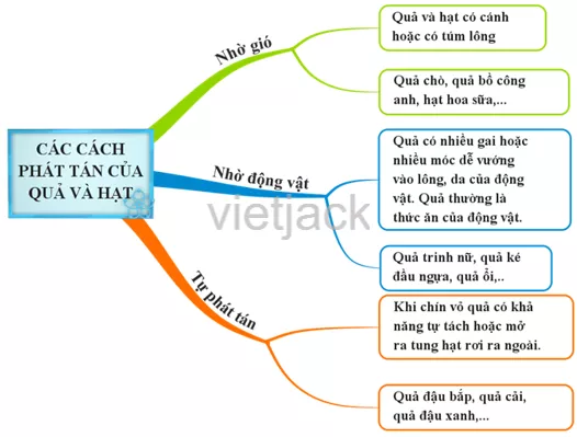 Em hãy chọn để vẽ sơ đồ tư duy cho một trong các trường hợp trên Van Dung 2 Trang 74 Tin Hoc Lop 6 Canh Dieu