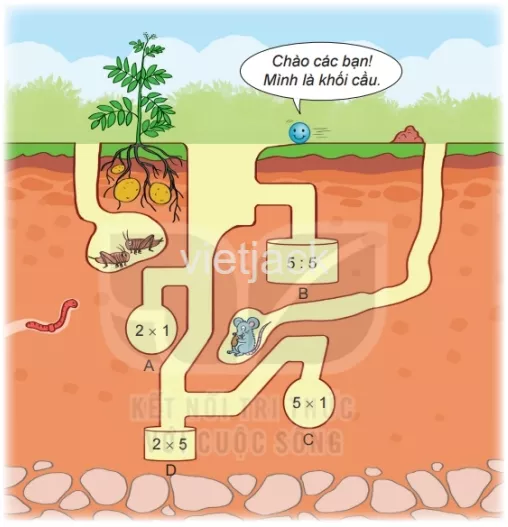 Toán lớp 2 - tập 2 - Bài 46 Bai 46 Khoi Tru Khoi Cau 32306