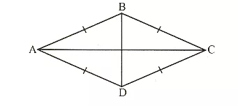 Cho các hình sau đây: (1) Đoạn thẳng AB. (2) Tam giác đều ABC. Bai 2 Trang 117 Toan Lop 6 Tap 1 Canh Dieu 5