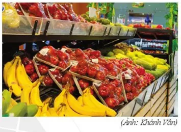 Thống kê lợi nhuận hai tuần của một cửa hàng bán hoa quả như sau Cau Hoi Khoi Dong Trang 70 Toan Lop 6 Tap 1 Canh Dieu 1