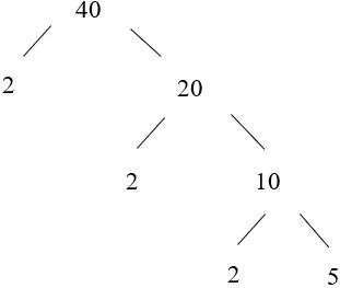 Phân tích số 40 ra thừa số nguyên tố bằng cách viết rẽ nhánh và theo cột dọc Luyen Tap 2 Trang 45 Toan Lop 6 Tap 1 Canh Dieu 1