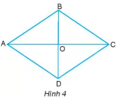 Cho hình thoi ABCD như hình 4. Hãy so sánh các cạnh của hình thoi Hoat Dong Kham Pha 2 Trang 81 Toan Lop 6 Tap 1 Chan Troi
