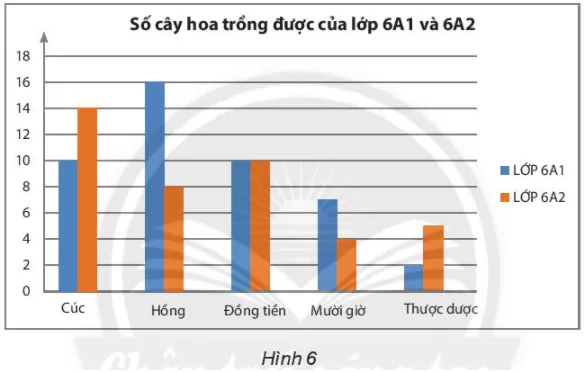 Quan sát biểu đồ hình 6, em hãy cho biết nó được ghép bởi các biểu đồ Hoat Dong Kham Pha 4 Trang 113 Toan Lop 6 Tap 1 Chan Troi