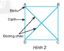 Dùng dụng cụ học tập để kiểm tra xem hai đường chéo AC và BD có bằng nhau Thuc Hanh 1 Trang 75 Toan Lop 6 Tap 1 Chan Troi