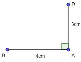 Vẽ hình chữ nhật ABCD có AB = 4 cm, AD = 3 cm theo hướng dẫn sau Thuc Hanh 2 Trang 81 Toan Lop 6 Tap 1 Chan Troi