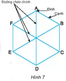 Hãy đo rồi so sánh các đường chéo chính AD, BE, CF Thuc Hanh 6 Trang 78 Toan Lop 6 Tap 1 Chan Troi