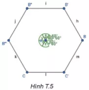 Hình lục giác ở hình T.5 có là lục giác đều không Cau Hoi 2 Trang 115 Toan Lop 6 Tap 1 Ket Noi Tri Thuc