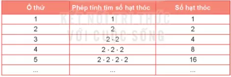 Để tìm số hạt thóc ở ô thứ 8, ta phải thực hiện phép nhân có bao nhiêu thừa số 2 Hoat Dong 1 Trang 22 Toan Lop 6 Tap 1 Ket Noi Tri Thuc