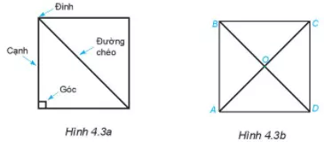 Quan sát Hình 4.3a. Nêu tên các đỉnh, cạnh, đường chéo Hoat Dong 4 Trang 79 Toan Lop 6 Tap 1 Ket Noi Tri Thuc