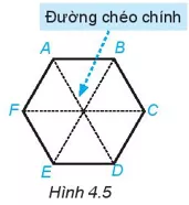 Hãy kể tên các đường chéo chính của hình lục giác đều ABCDEF Hoat Dong 6 Trang 80 Toan Lop 6 Tap 1 Ket Noi Tri Thuc