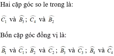 Toán lớp 7 | Lý thuyết - Bài tập Toán 7 có đáp án Bai 3 Cac Goc Tao Boi Mot Duong Thang Cat Hai Duong Thang 1