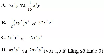 Toán lớp 7 | Lý thuyết - Bài tập Toán 7 có đáp án Bai Tap Don Thuc Dong Dang 1