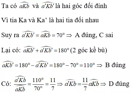 Toán lớp 7 | Lý thuyết - Bài tập Toán 7 có đáp án Bai Tap Hai Goc Doi Dinh 16