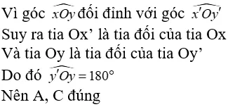 Toán lớp 7 | Lý thuyết - Bài tập Toán 7 có đáp án Bai Tap Hai Goc Doi Dinh 6