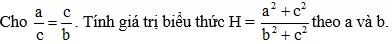 Cách tính giá trị biểu thức khi cho dãy tỉ số bằng nhau cực hay, chi tiết | Toán lớp 7 Cach Tinh Gia Tri Bieu Thuc Day Ti So A33