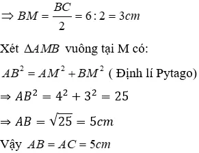 Trắc nghiệm Tính chất ba đường cao của tam giác Tinh Chat Ba Duong Cao A06