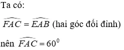Trắc nghiệm Tính chất ba đường cao của tam giác Tinh Chat Ba Duong Cao A106