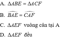 Trắc nghiệm Tính chất ba đường cao của tam giác Tinh Chat Ba Duong Cao A81