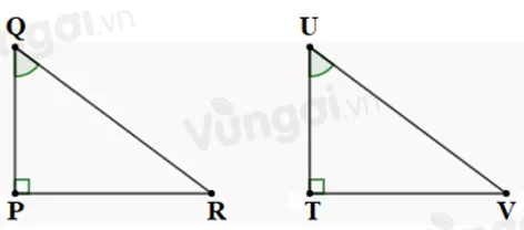 Trắc nghiệm Các trường hợp bằng nhau của tam giác vuông Trac Nghiem Cac Truong Hop Bang Nhau Cua Tam Giac Vuong A13