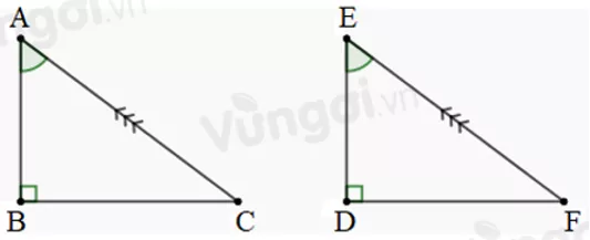 Trắc nghiệm Các trường hợp bằng nhau của tam giác vuông Trac Nghiem Cac Truong Hop Bang Nhau Cua Tam Giac Vuong A21