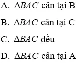 Trắc nghiệm Các trường hợp bằng nhau của tam giác vuông Trac Nghiem Cac Truong Hop Bang Nhau Cua Tam Giac Vuong A61