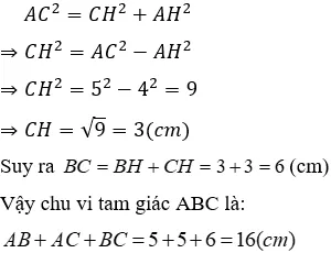 Trắc nghiệm Định lí Pi-ta-go Trac Nghiem Dinh Li Pi Ta Go A29