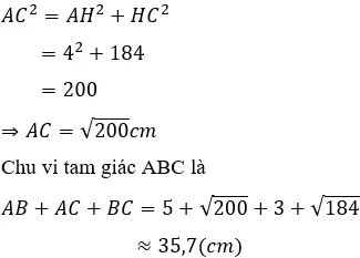 Trắc nghiệm Định lí Pi-ta-go Trac Nghiem Dinh Li Pi Ta Go A33