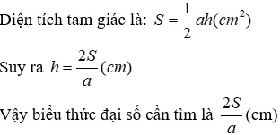 Trắc nghiệm Khái niệm về biểu thức đại số Trac Nghiem Khai Niem Ve Bieu Thuc Dai So A29