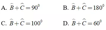 Trắc nghiệm Tổng ba góc của một tam giác - Bài tập Toán lớp 7 chọn lọc có đáp án, lời giải chi tiết Trac Nghiem Tong Ba Goc Cua Mot Tam Giac 1