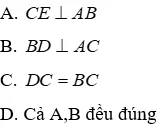 Trắc nghiệm Trường hợp bằng nhau thứ hai của tam giác: cạnh - góc - cạnh (c.g.c) Truong Hop Bang Nhau Thu Hai Cua Tam Giac A49