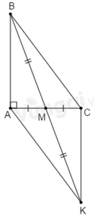 Trắc nghiệm Trường hợp bằng nhau thứ hai của tam giác: cạnh - góc - cạnh (c.g.c) Truong Hop Bang Nhau Thu Hai Cua Tam Giac A82