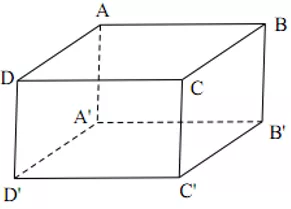 Bài tập Hình hộp chữ nhật | Lý thuyết và Bài tập Toán 8 có đáp án Bai Tap Bai 1 2 Hinh Hop Chu Nhat 00