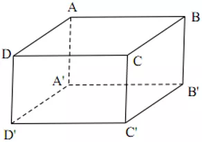 Bài tập Hình hộp chữ nhật | Lý thuyết và Bài tập Toán 8 có đáp án Bai Tap Bai 1 2 Hinh Hop Chu Nhat 02