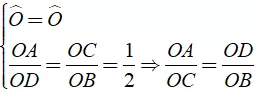 Bài tập Các trường hợp đồng dạng của tam giác | Lý thuyết và Bài tập Toán 8 có đáp án Bai Tap Bai 5 6 7 Cac Truong Hop Dong Dang Cua Tam Giac 11