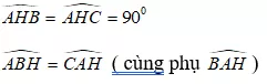 Bài tập Các trường hợp đồng dạng của tam giác vuông | Lý thuyết và Bài tập Toán 8 có đáp án Bai Tap Bai 8 Cac Truong Hop Dong Dang Cua Tam Giac Vuong 1 3