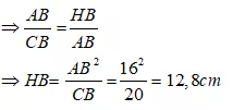 Bài tập Các trường hợp đồng dạng của tam giác vuông | Lý thuyết và Bài tập Toán 8 có đáp án Bai Tap Bai 8 Cac Truong Hop Dong Dang Cua Tam Giac Vuong 1 6