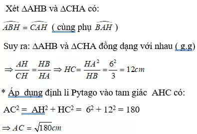 Bài tập Các trường hợp đồng dạng của tam giác vuông | Lý thuyết và Bài tập Toán 8 có đáp án Bai Tap Bai 8 Cac Truong Hop Dong Dang Cua Tam Giac Vuong 1 8