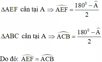 Cách nhận biết hình thang cân hay, chi tiết Cach Nhan Biet Hinh Thang Can Hay Chi Tiet 19285