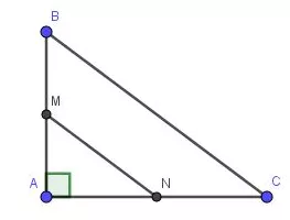 Cách tính diện tích đa giác hay, chi tiết Cach Tinh Dien Tich Da Giac Hay Chi Tiet 20982