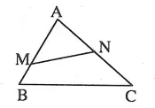Chứng minh hai tam giác đồng dạng – trường hợp đồng dạng thứ hai (C–G–C) Chung Minh Hai Tam Giac Dong Dang Truong Hop Dong Dang Thu Hai C G C 21135
