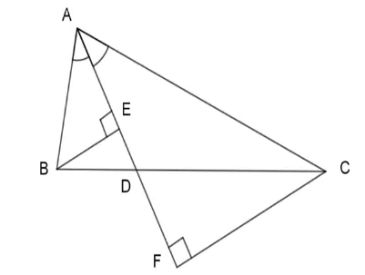 Chứng minh hai tam giác vuông đồng dạng hay, chi tiết Chung Minh Hai Tam Giac Vuong Dong Dang Hay Chi Tiet 21153