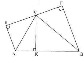 Chứng minh hai tam giác vuông đồng dạng hay, chi tiết Chung Minh Hai Tam Giac Vuong Dong Dang Hay Chi Tiet 21435.webp