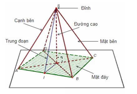 Tính diện tích xung quanh, diện tích toàn phần, thể tích của hình chóp đều, hình chóp cụt đều Tinh Dien Tich Xung Quanh Dien Tich Toan Phan The Tich Cua Hinh Chop Deu Hinh Chop Cut Deu 21593