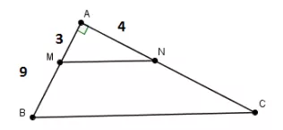 Tính độ dài đoạn thẳng sử dụng định lí Ta-lét trong tam giác Tinh Do Dai Doan Thang Su Dung Dinh Li Ta Let Trong Tam Giac 21094