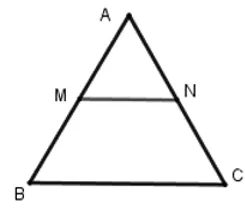 Trắc nghiệm Đường trung bình của tam giác, của hình thang có đáp án Trac Nghiem Duong Trung Binh Cua Tam Giac Cua Hinh Thang A18