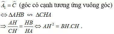 Vận dụng các trường hợp đồng dạng trong tam giác vuông chứng minh hệ thức Van Dung Cac Truong Hop Dong Dang Trong Tam Giac Vuong Chung Minh He Thuc 21460