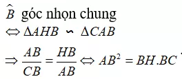 Vận dụng các trường hợp đồng dạng trong tam giác vuông chứng minh hệ thức Van Dung Cac Truong Hop Dong Dang Trong Tam Giac Vuong Chung Minh He Thuc 21461